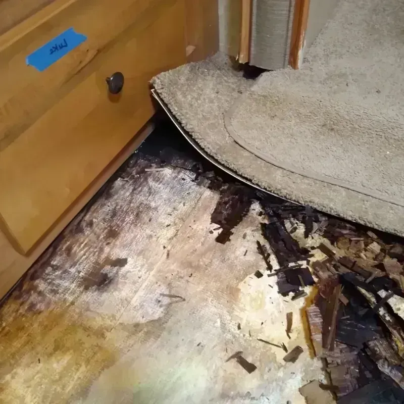 Best Wood Floor Water Damage Service in Nisswa, MN